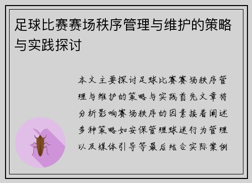 足球比赛赛场秩序管理与维护的策略与实践探讨