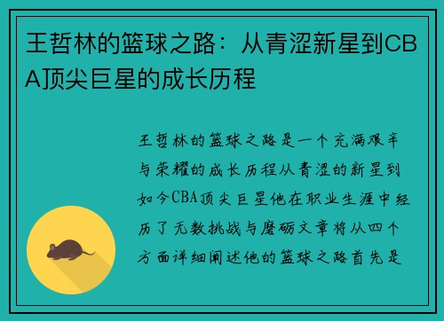 王哲林的篮球之路：从青涩新星到CBA顶尖巨星的成长历程